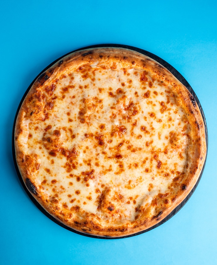 Plain Pizza