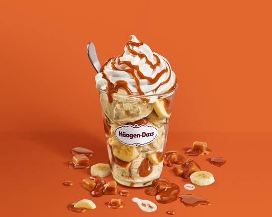 Dulce Split Dazzler Sundae from Haagen-Dazs North Miami Causeway