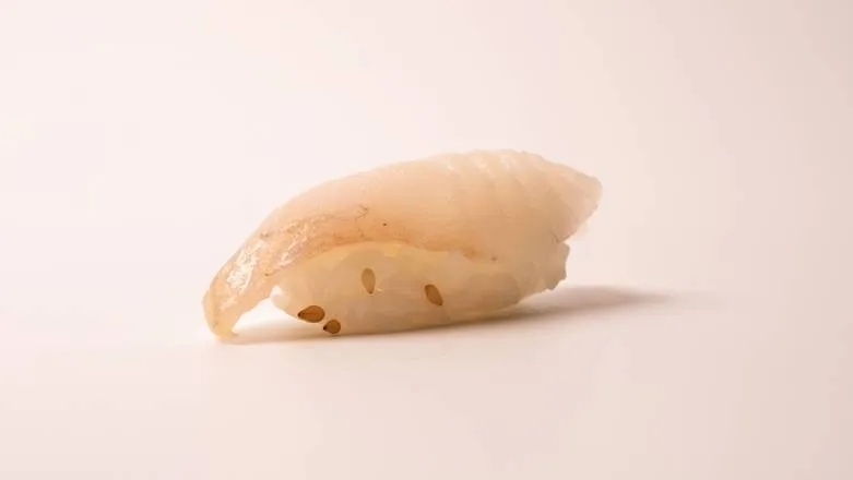 Striped Bass