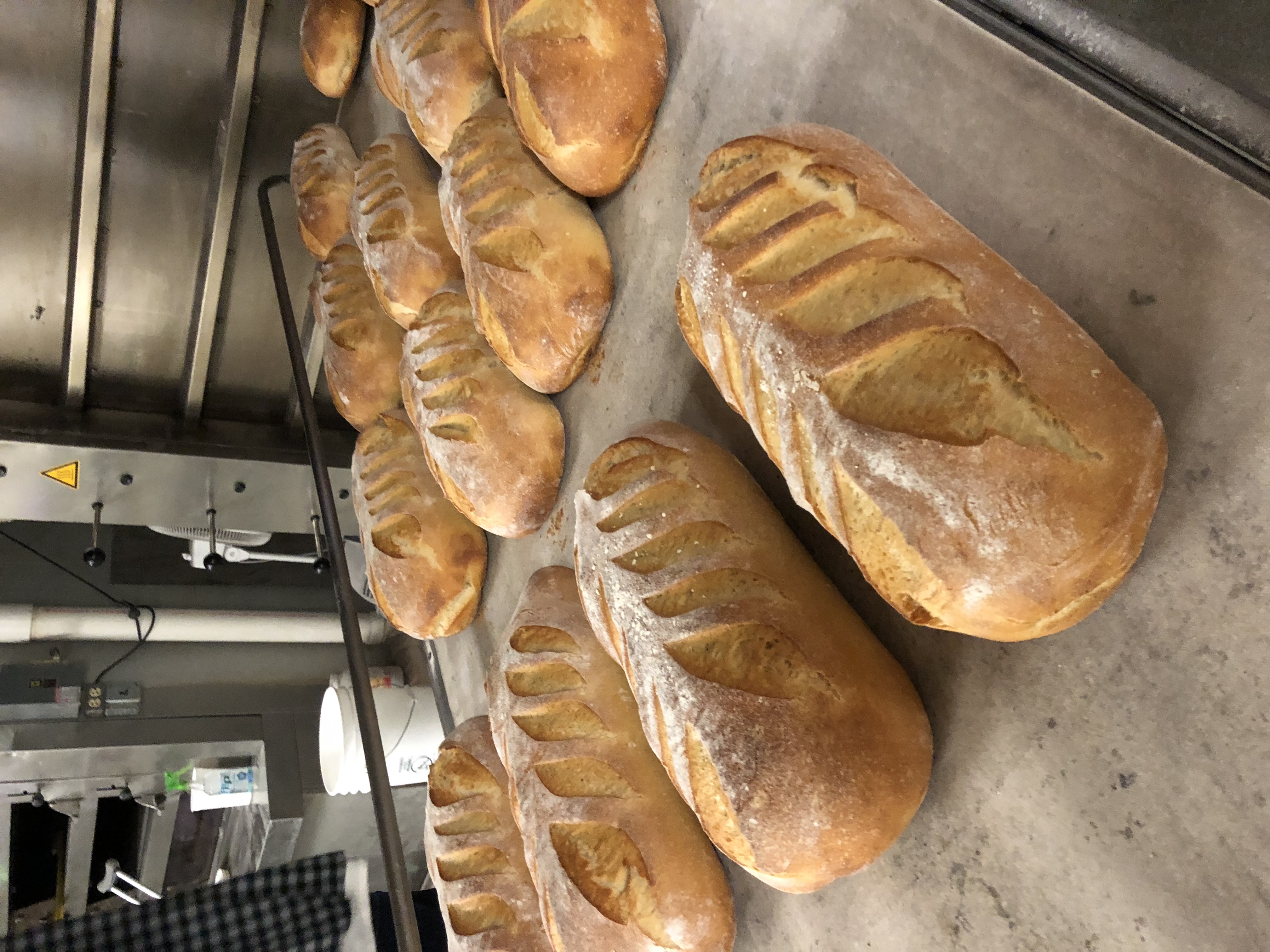 Borealis Breads - Waldoboro title image