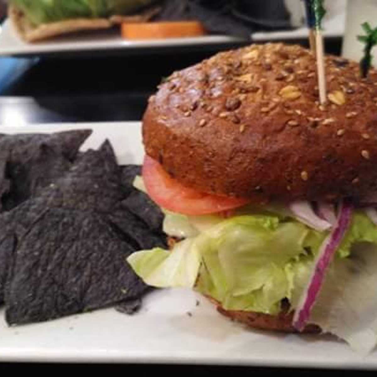 Organic Bison Burger