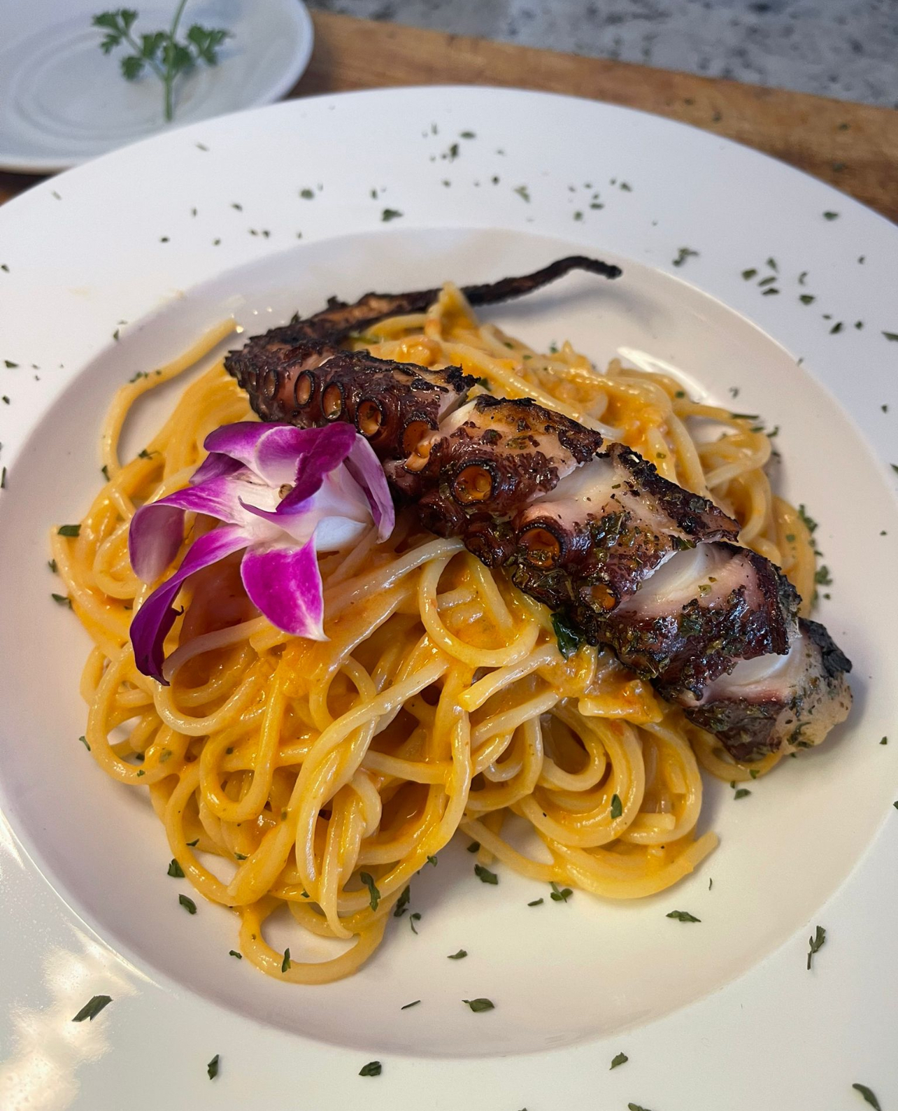 Verne Octopus Spaghetti