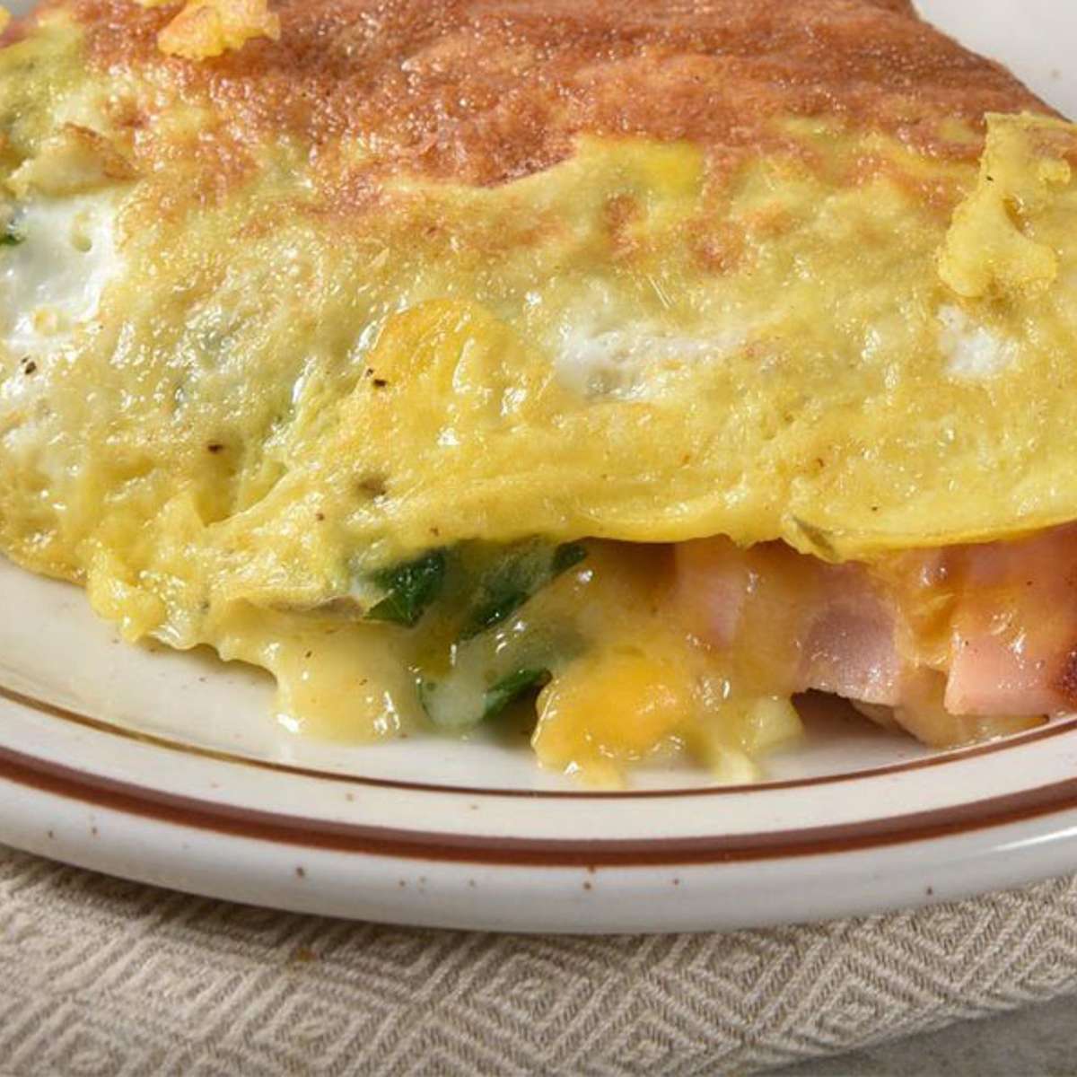 Turkey Omelette