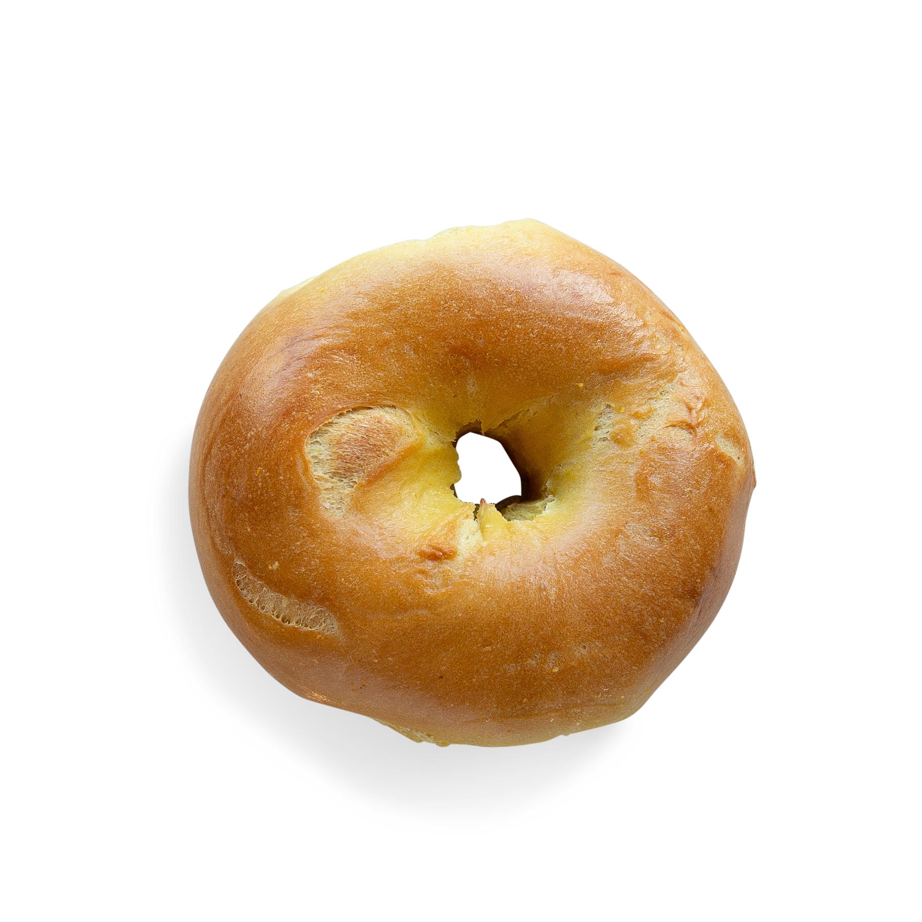 Egg Bagel