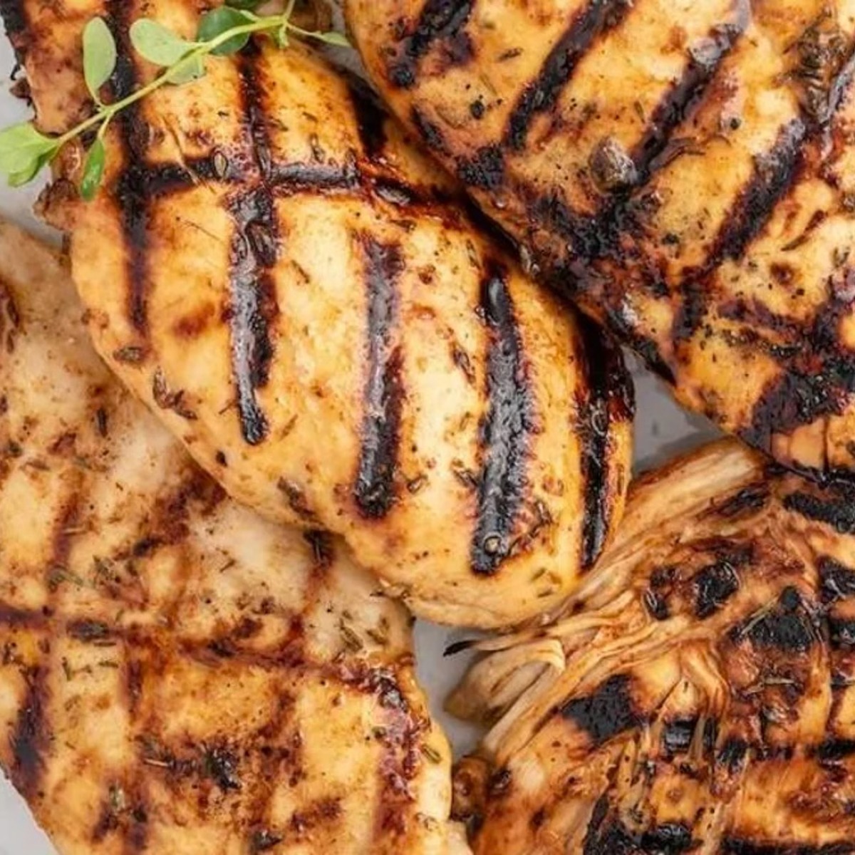 Grilled Chicken Breast