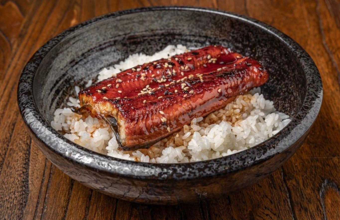 Unagi Don