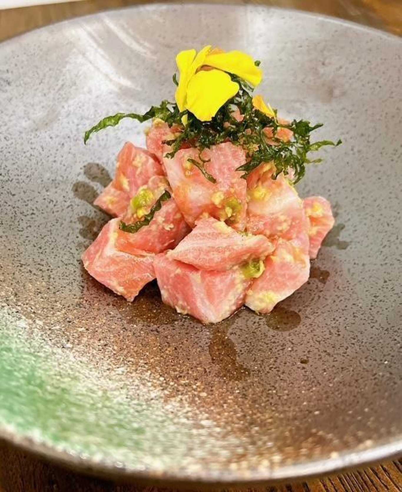 Toro Wasabi