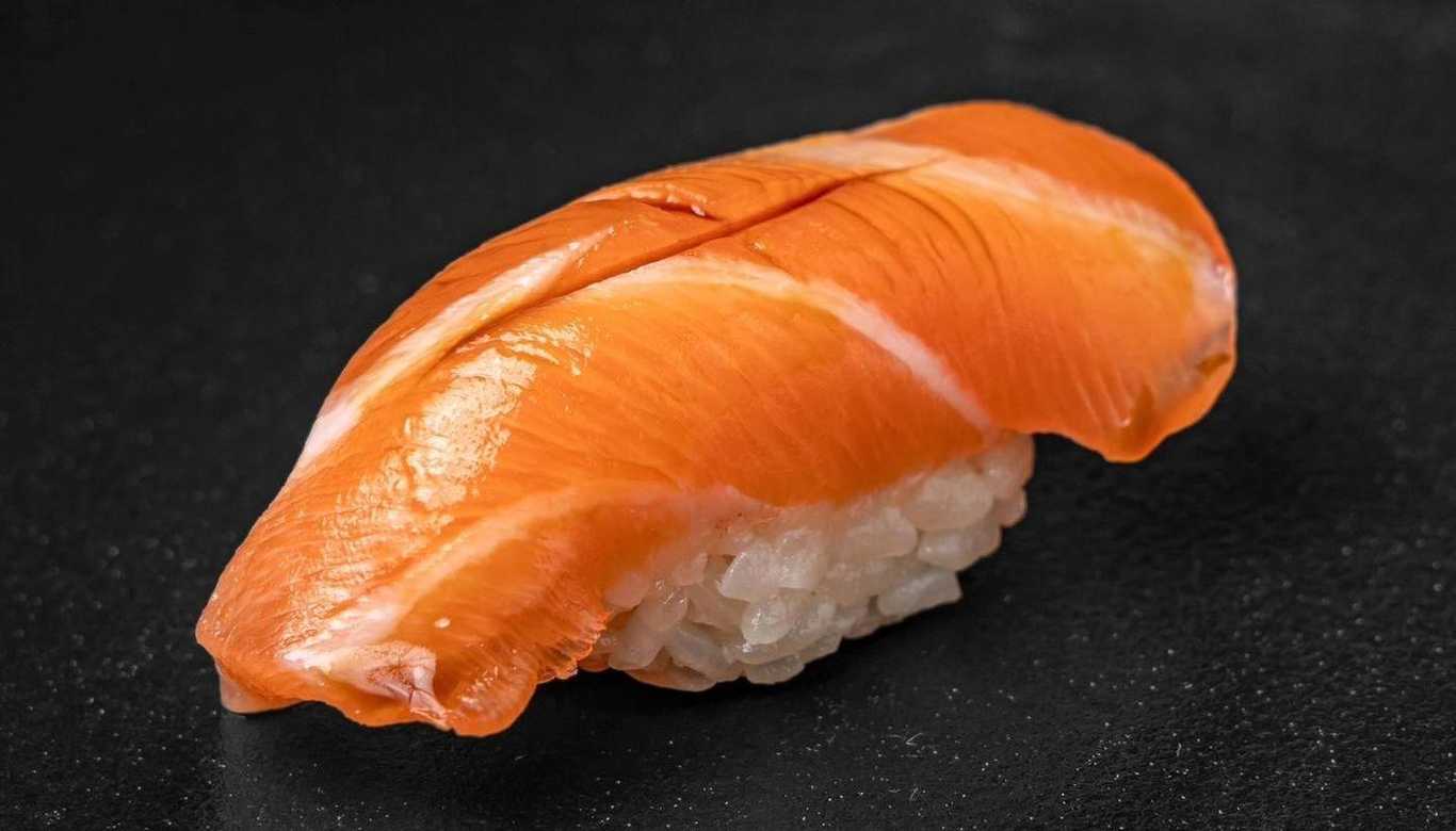 Salmon