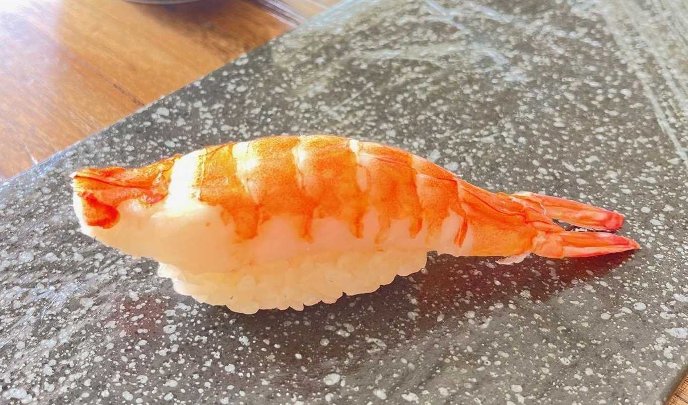 Shrimp