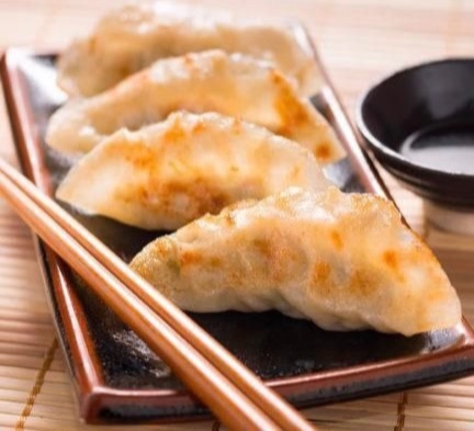 Fried Chicken Dumplings 香煎鸡肉饺