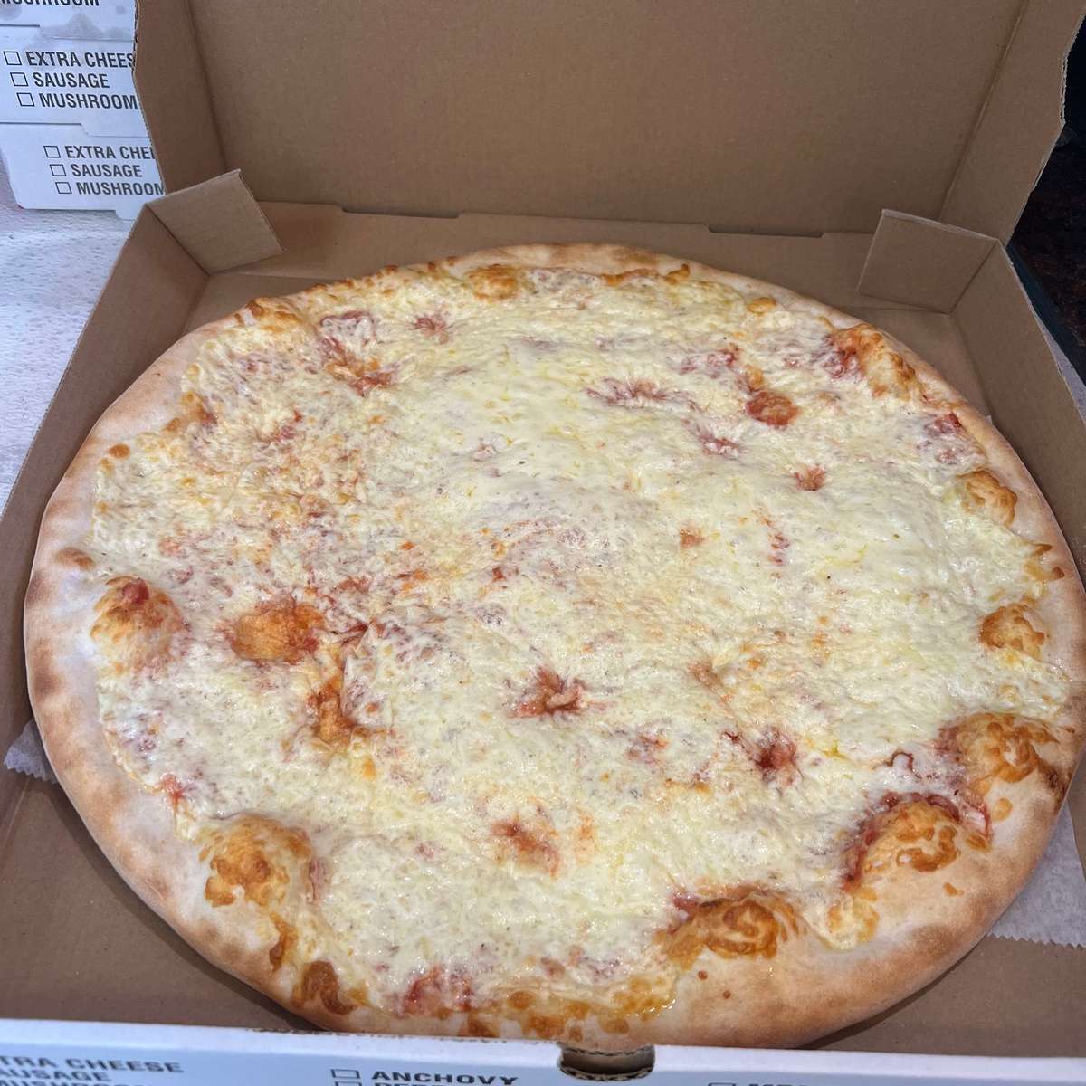 Cheese Pizza (Medium)