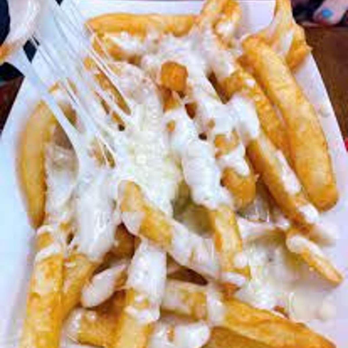 Mozzarella Fries