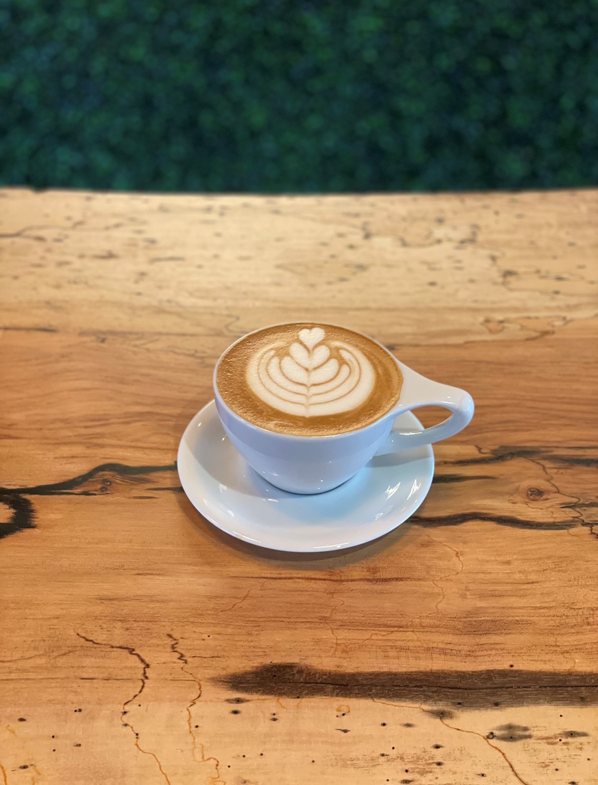 Latte