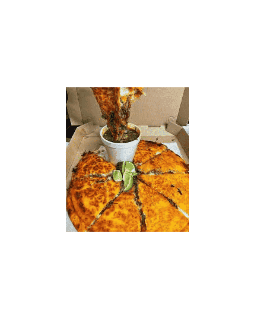 BIRRIA PIZZA