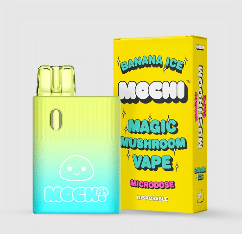 Mochi Mushroom 2.5g Disposable