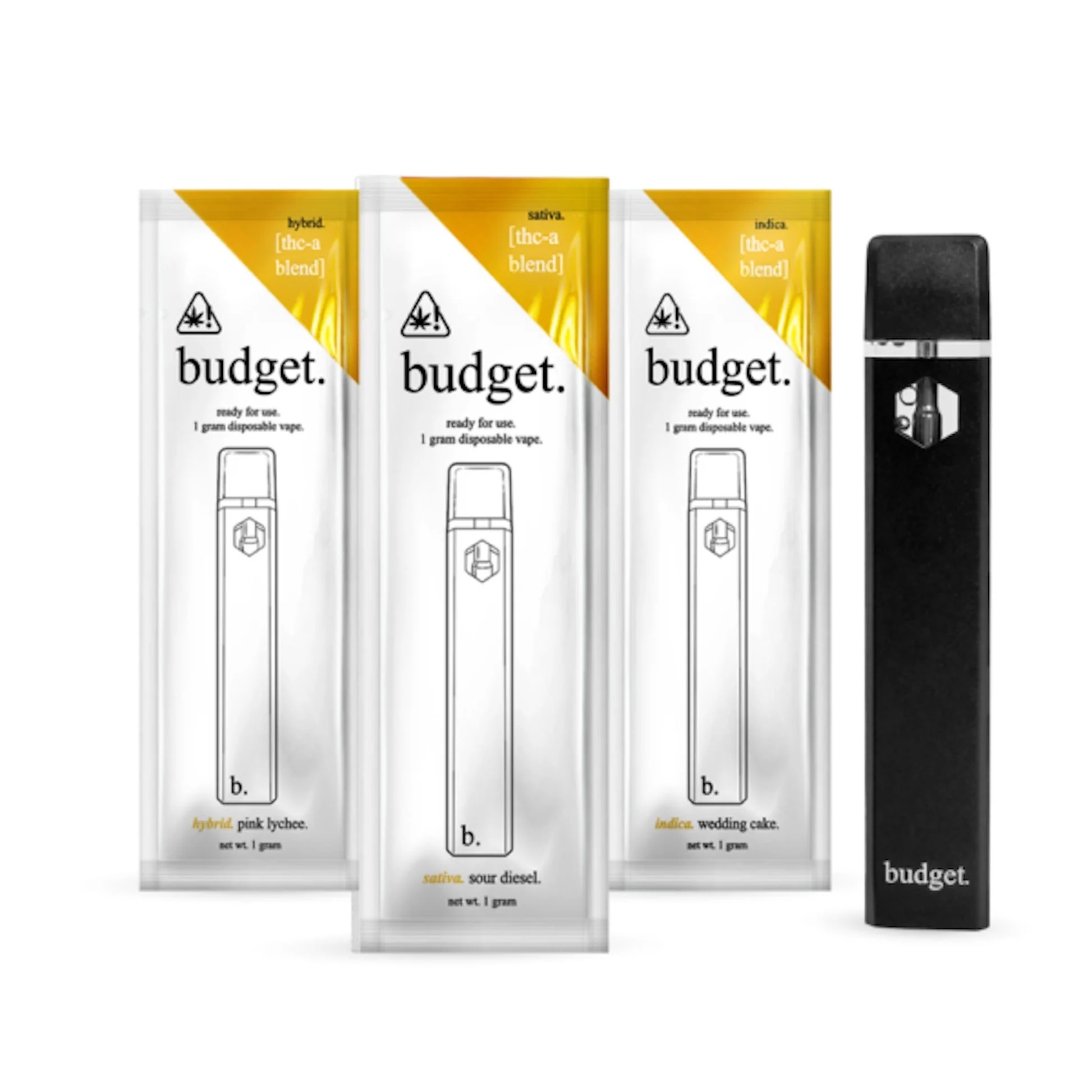 Budget 1 Gram Disposable