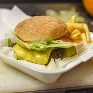 Cheese Burger with Fries