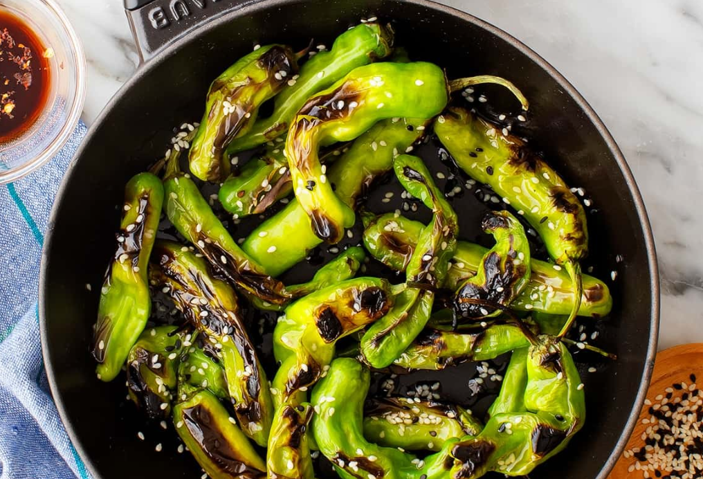 Shishito Pepper