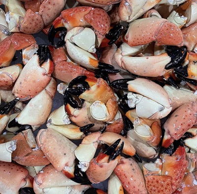 Stone Crabs (Jumbo) 3 pc
