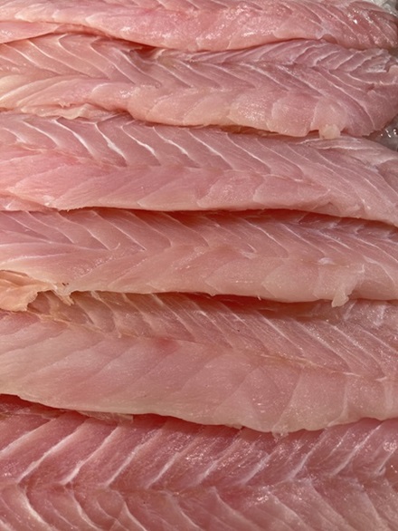 Corvina Fillet