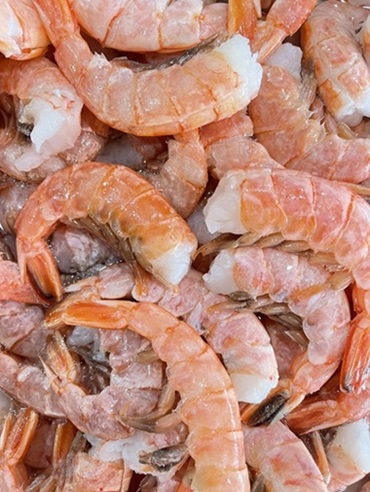 Argentinian Royal Red Shrimp