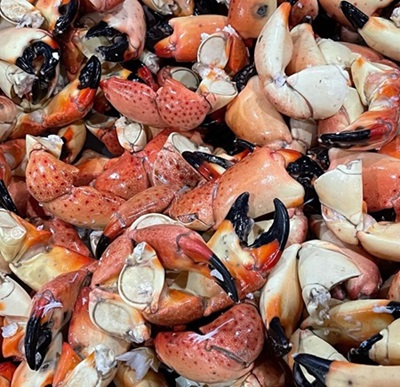 Stone Crabs (Large) 4pc