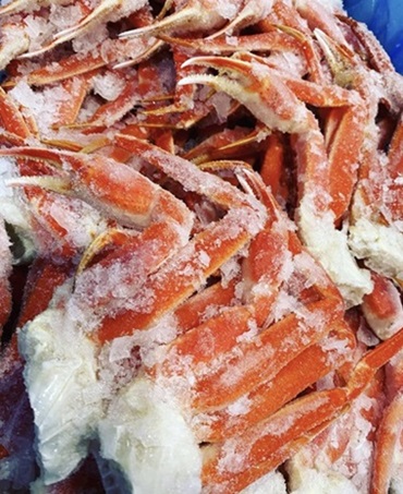 Snow Crabs
