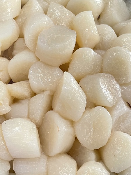 Sea Scallops