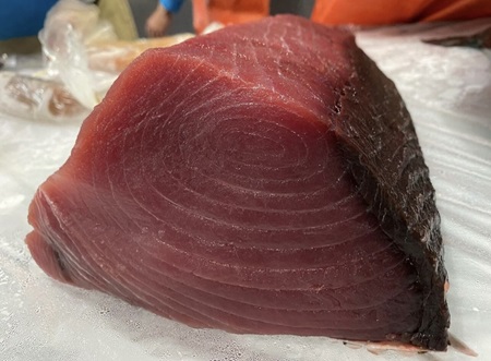 Tuna Steak