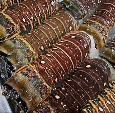 Lobster Tail