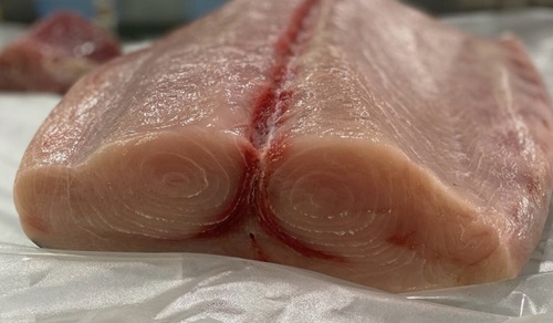 Sword Fish