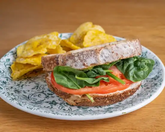 Avocado Tuna Sandwich