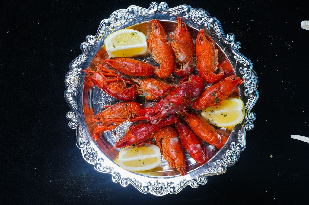 Egyptian Red Crawfish