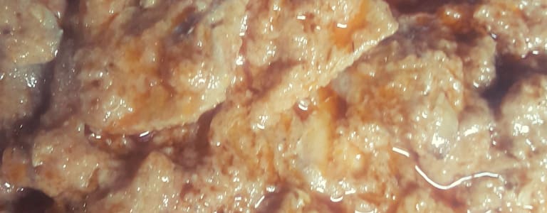 Chicken Nehari