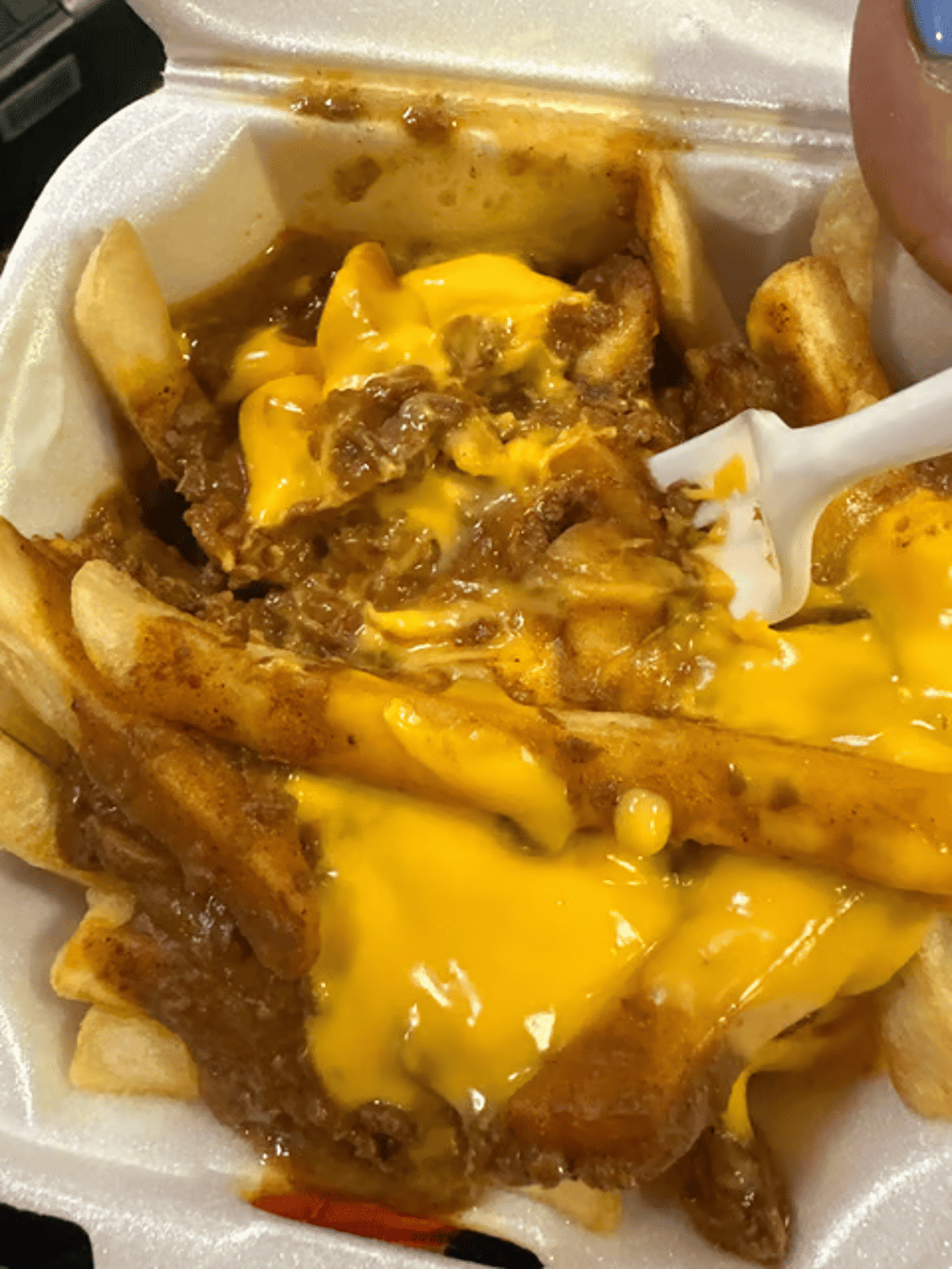 Chili Fries Special