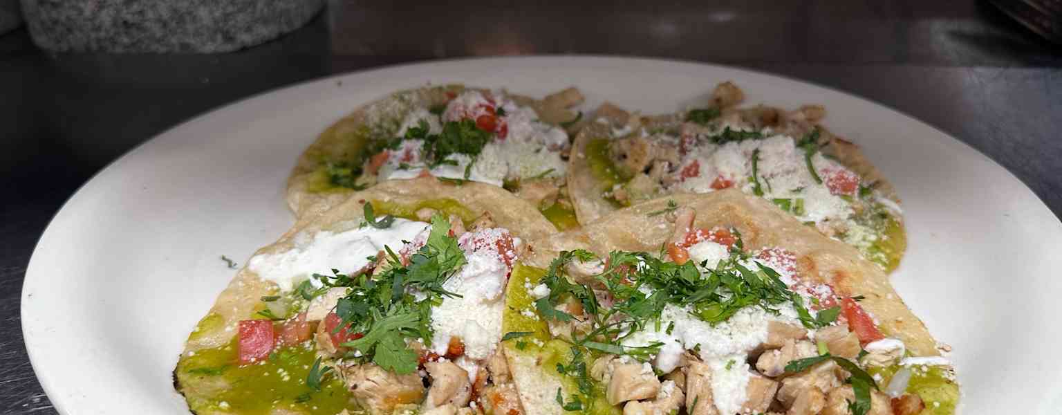 Pollo / Chicken