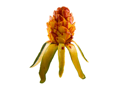 Mango Flower