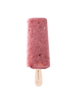 Tropical Fruits Paleta