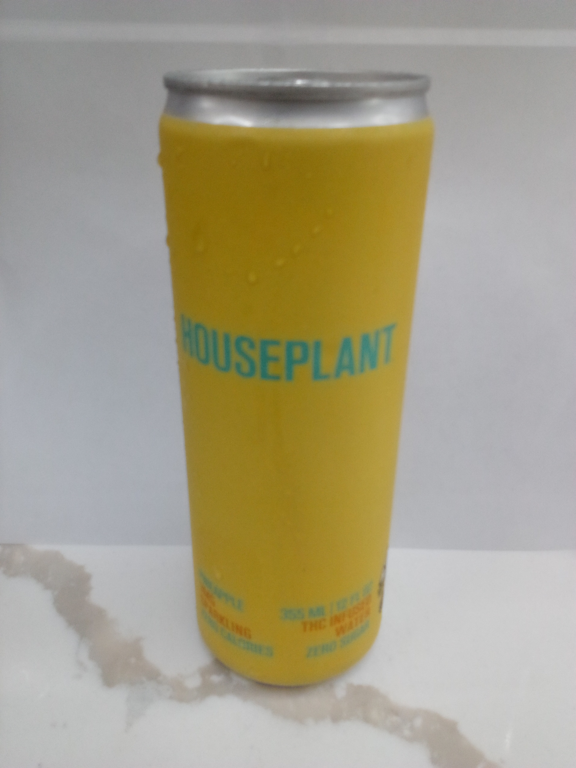 Houseplant pineapple