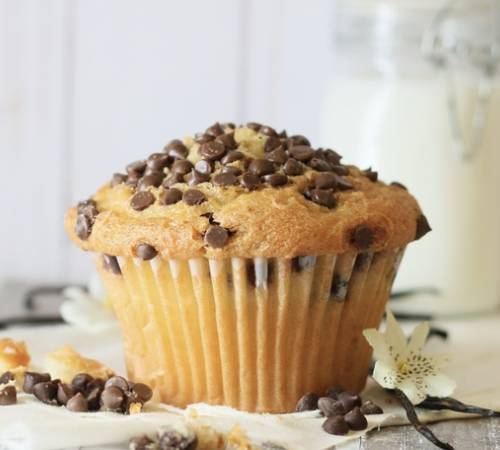 Chocolate Chip Muffin