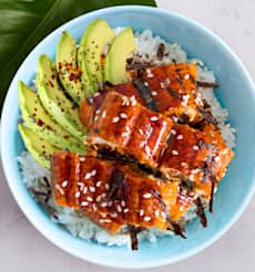 Unagi Don • EelOver Rice