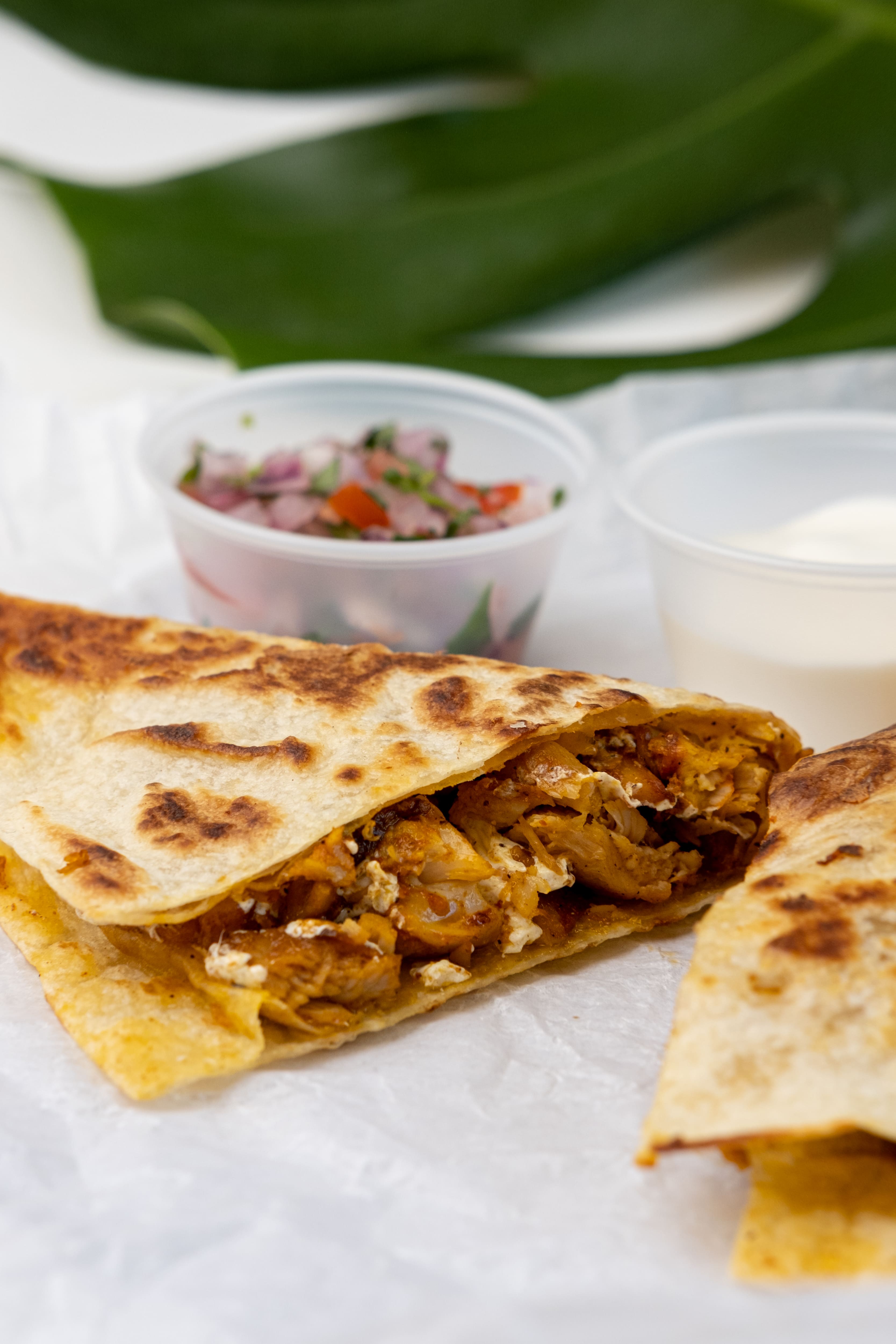 Pollo Quesadilla