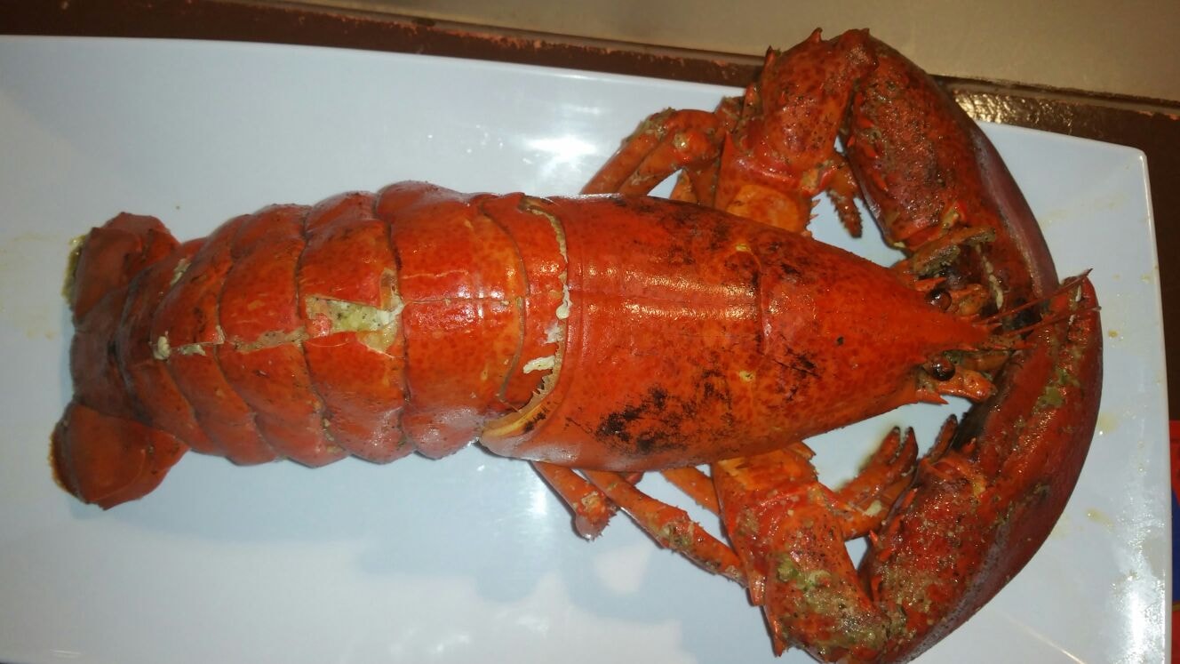 Homard Lobster