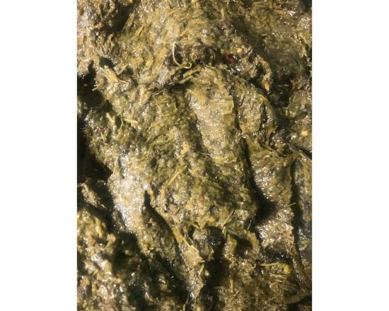 Saag (Mustard)